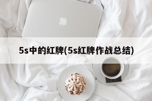 5s中的红牌(5s红牌作战总结)